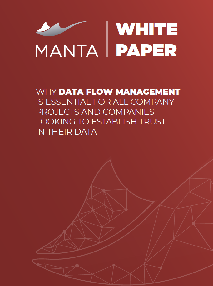 Manta_DataFlowManagement_Cover_Q419WP.PNG